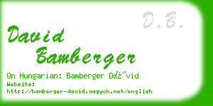 david bamberger business card